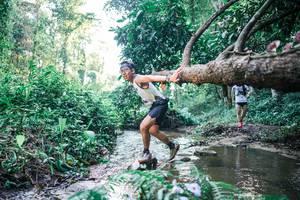 BIB: 
                            <button type="button" onclick="openModal(25431716)" class="btn btn-primary btn-sm float-right btn-popup" data-toggle="modal" data-target=".modal-high-quality">
                        <i class="fas fa-shopping-cart"></i> Add to Cart
                    </button>
                                            <button type="button" onclick="isThisMe(25431716, true)" class="btn btn-success btn-sm float-right btn-popup btn-isme hidden" data-toggle="tooltip" data-placement="bottom" title="นี่คือรูปของคุณใช่ไหม คลิกที่นี่เพื่อเอาเข้าอัลบั้ม">
                        <i class="fas fa-plus"></i> Add to album
                    </button>
                    <button type="button" onclick="isThisMe(25431716, false)" class="btn btn-warning btn-sm float-right btn-popup btn-isnotme hidden">
                        <i class="fas fa-ban"></i> Remove from album
                    </button>